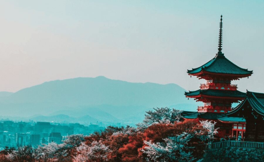 Kyoto : Private Custom Walking Tour With A Local Guide - Key Things I’d Prioritize Before You Book