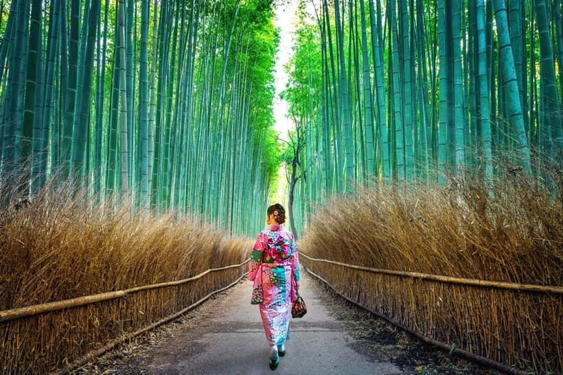 Kyoto: Private Customizable Day Tour with Guide and Vehicle - Key points that matter before you book
