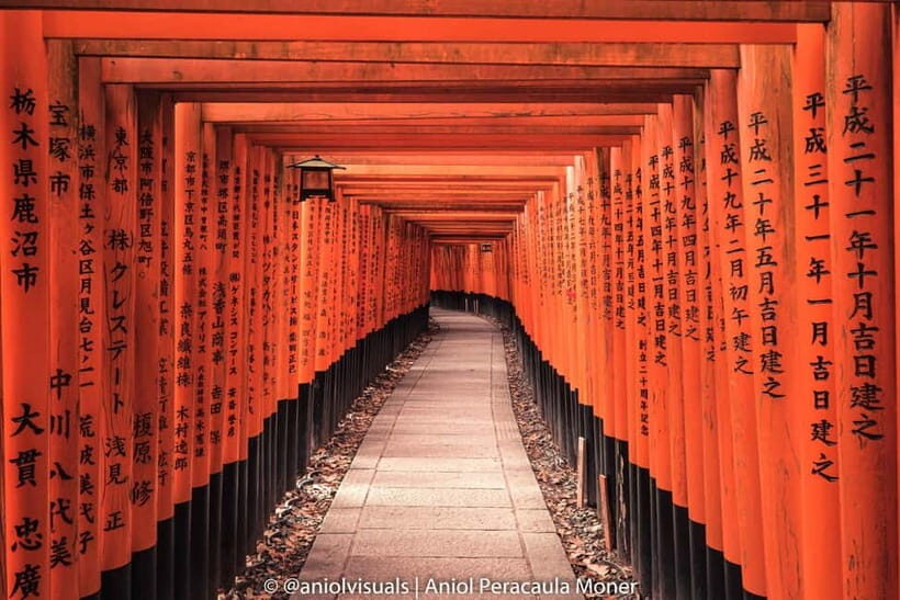 Kyoto: Private Customizable Day Tour with Guide and Vehicle - Arashiyama: bamboo photos, a guided hour, and how to not lose time