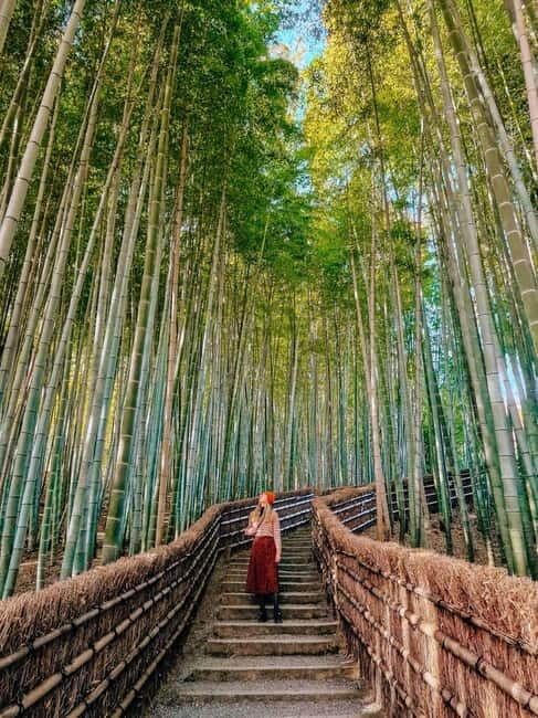 Kyoto: Private Customizable Day Tour with Guide and Vehicle - Nishiki Market: use it for snacks and planning, not a food marathon
