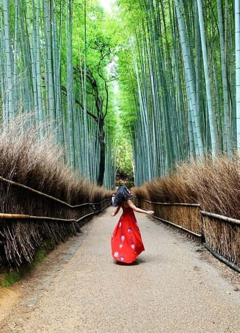 Kyoto: Private Customizable Day Tour with Guide and Vehicle - Customizing your Kyoto day without breaking the flow