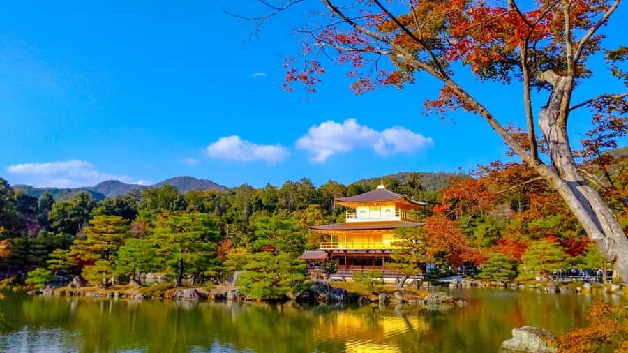 Kyoto: Private Customizable Day Trip by Car - Why Kyoto by private car beats the usual transit shuffle