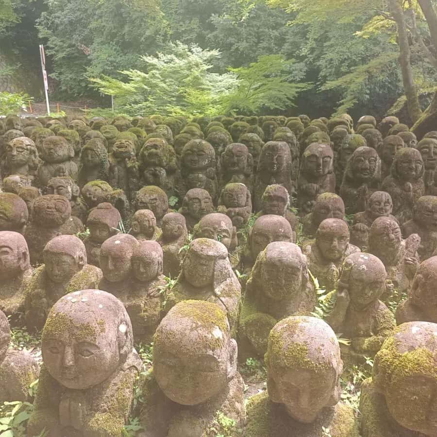 Kyoto: Private Customizable Day Trip by Car - Fushimi Inari-taisha: torii gates, but with control over your pace