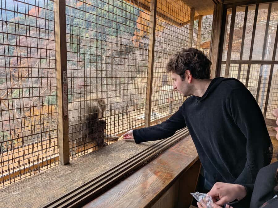 Kyoto: Private Customizable Day Trip by Car - Price and value: what $581 per group really buys