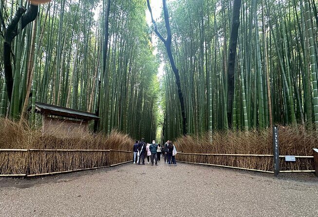 Kyoto Private Customizable Day Trip With English chauffeur - Key highlights at a glance