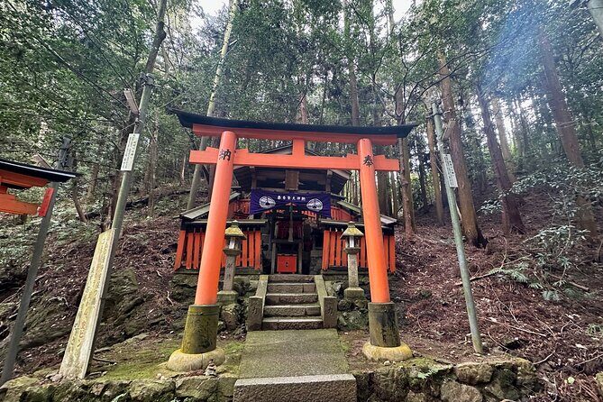 Kyoto Private Customizable Day Trip With English chauffeur - Why a private Kyoto chauffeur beats the subway crawl