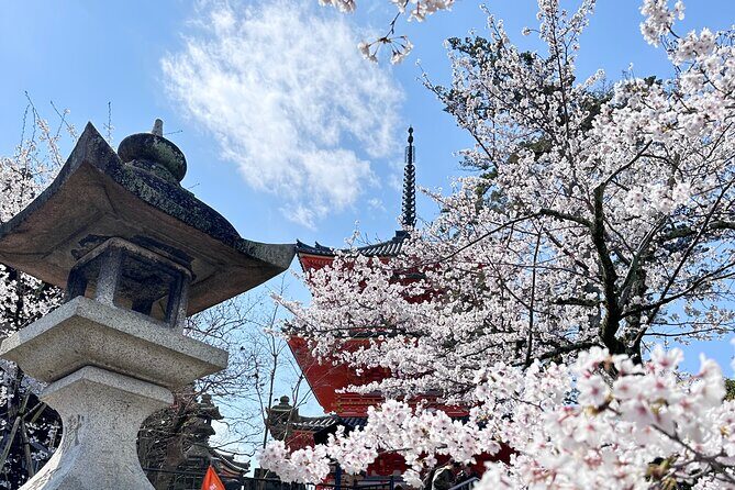 Kyoto Private Customizable Day Trip With English chauffeur - Kyoto Imperial Palace gardens: traditional grounds, quick but meaningful