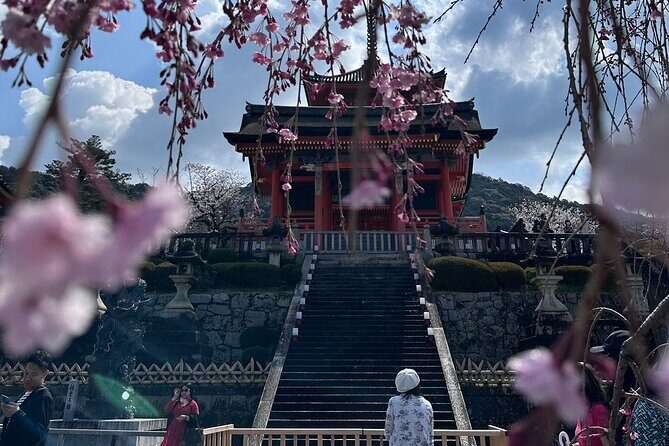 Kyoto Private Customizable Day Trip With English chauffeur - Sanjūsangen-dō’s 1,001 Kannon statues (why 30 minutes can feel long)