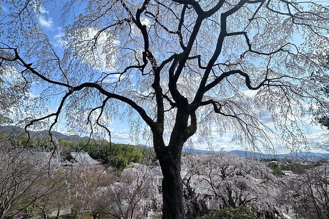 Kyoto Private Customizable Day Trip With English chauffeur - Ginkaku-ji (Silver Pavilion): quiet Zen, simple beauty