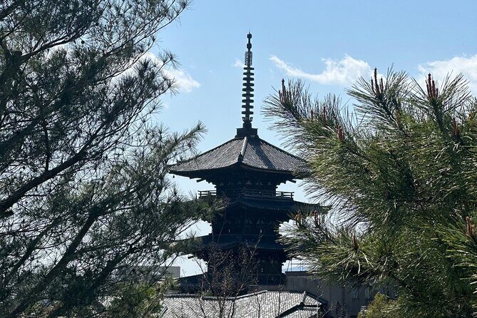 Kyoto Private Customizable Day Trip With English chauffeur - 8:00 am start and the 8–10 hour pace (how to plan your day)