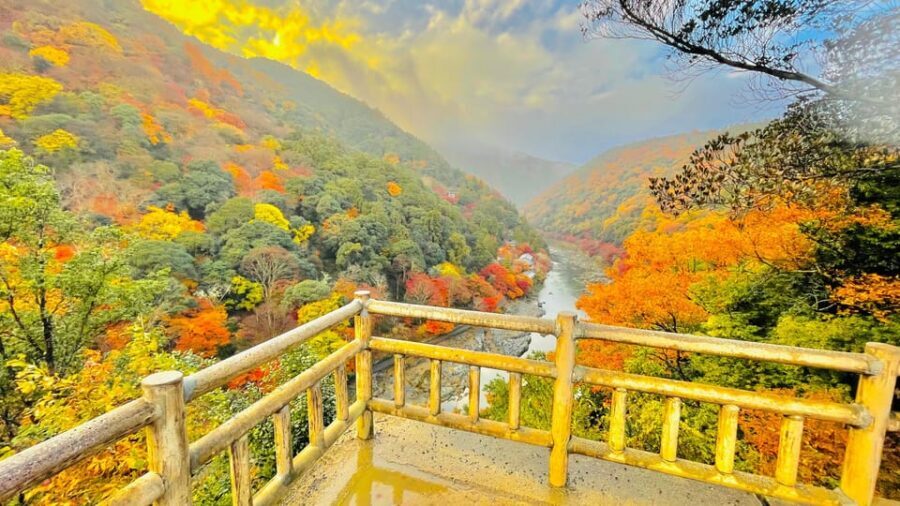 Kyoto: Private Customizable Guided tour with Luxury Vehicle - Arashiyama Bamboo Forest and the Morning Walk Strategy