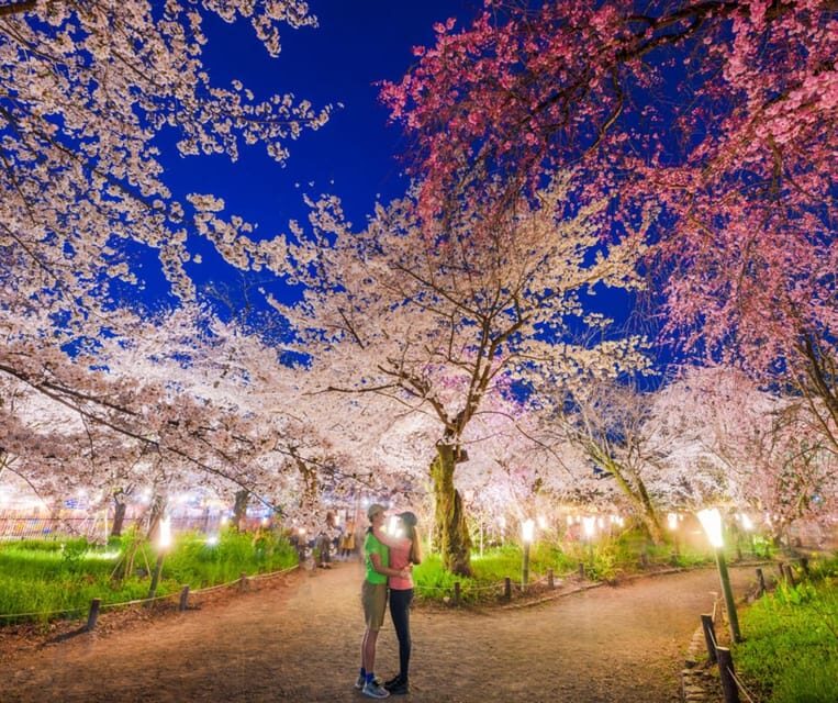 Kyoto: Private Customizable Guided tour with Luxury Vehicle - Kiyomizu-dera and the Old Street Walk: Hills, Shops, and Views