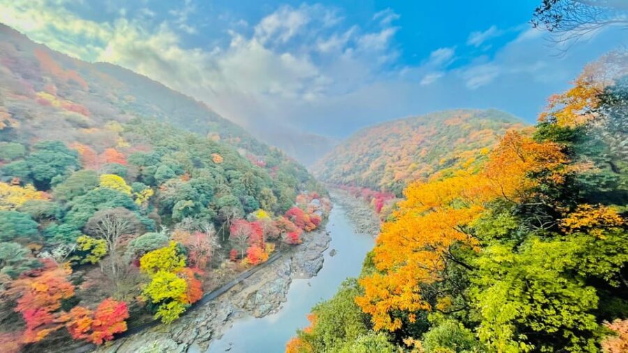 Kyoto: Private Customizable Guided tour with Luxury Vehicle - Pickup and Drop-Off: Built for Ease, Watch the Fine Print