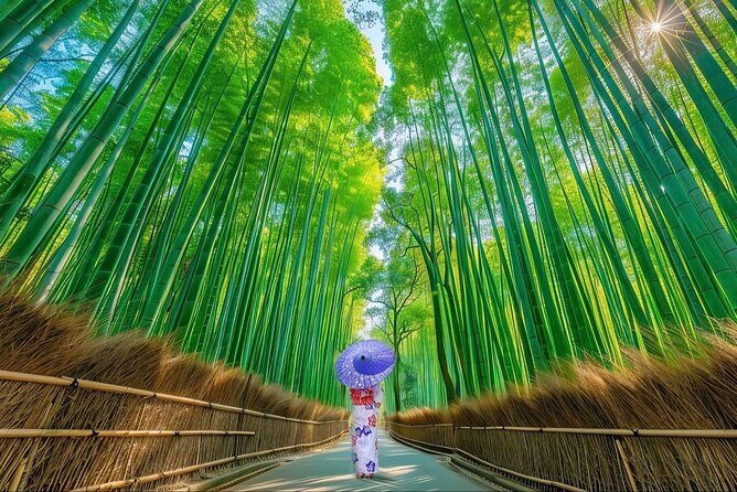 Kyoto Private Customized Day Tour with Guide - Key highlights at a glance