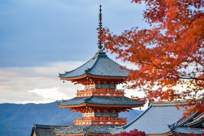 Kyoto Private Customized Day Tour with Guide - Why a private Kyoto day feels worth it