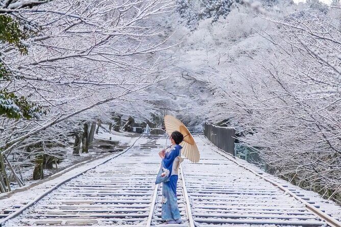 Kyoto Private Customized Day Tour with Guide - Your 8–10 hour plan: what the flow is like