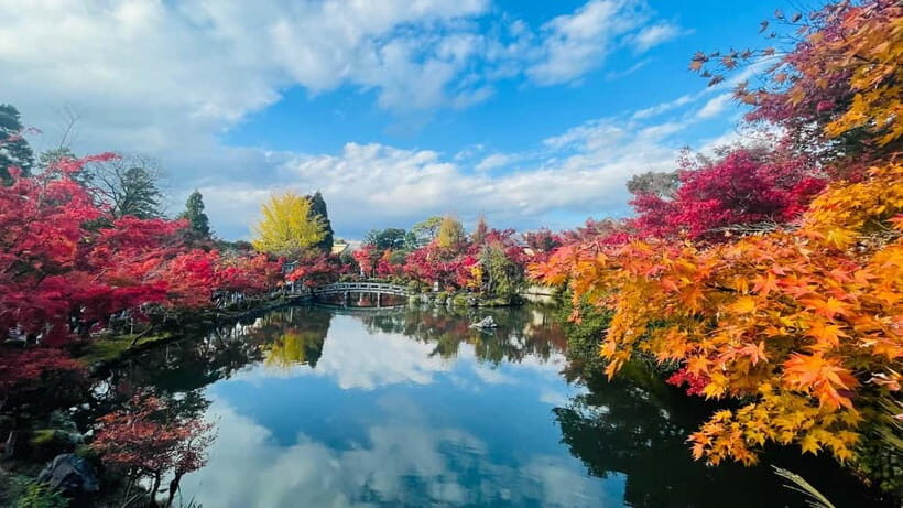 Kyoto: Private Customized Tour With English Speaking Guide - Kiyomizu-dera and Pontocho: classic views with room to breathe
