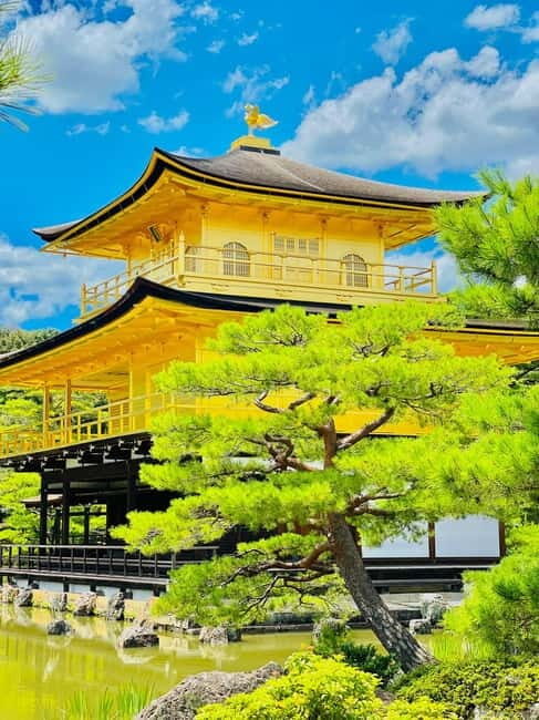 Kyoto: Private Customized Tour With English Speaking Guide - Fushimi Inari: thousands of torii, perfect for both wide and detail shots