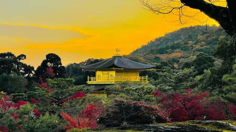 Kyoto: Private Customized Tour With English Speaking Guide - Your guide’s style: English, timing, and photo help that actually helps