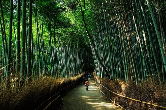 Kyoto: Private Flexible 3 hours tour with a local guide - Stop 2: Kiyomizu-dera Temple and Kyoto’s famous views