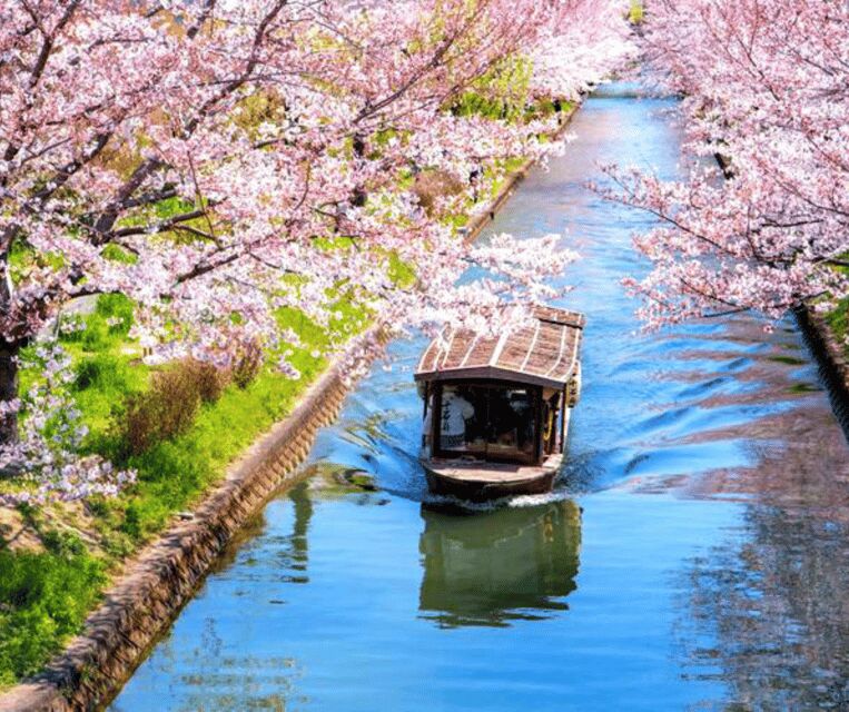 Kyoto: Private Highlights Tour with Guide and Luxury Vehicle - Comfort, pacing, and the practical tips that save your day