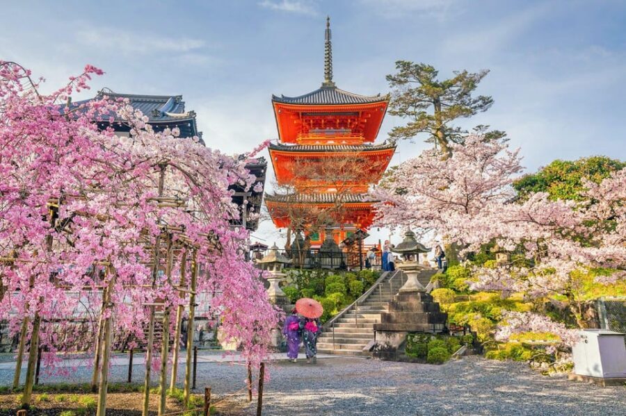 Kyoto: Private Highlights Tour with Guide and Luxury Vehicle - Fushimi Inari Taisha torii gates: plan your pace before you start