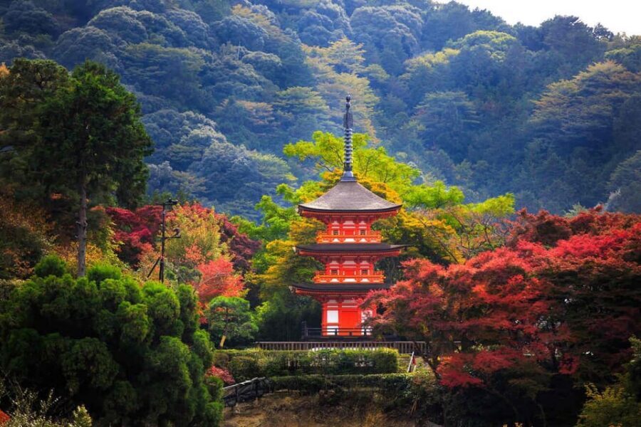 Kyoto: Private Highlights Tour with Guide and Luxury Vehicle - Gion district: historic teahouses and geisha culture in one guided hour