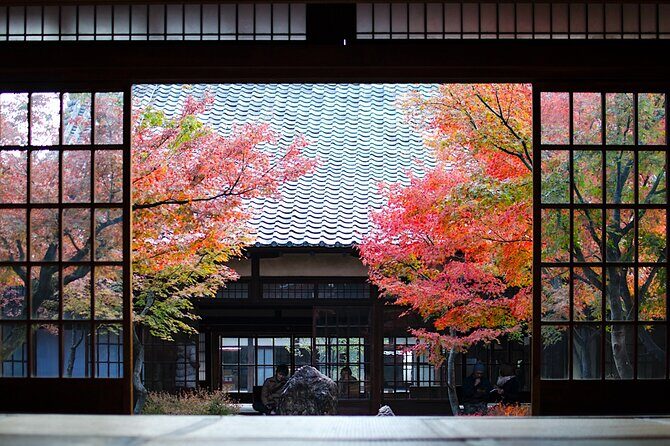 Kyoto Private Tour: One Day Highlights and Cultural Gems - Key highlights you should notice