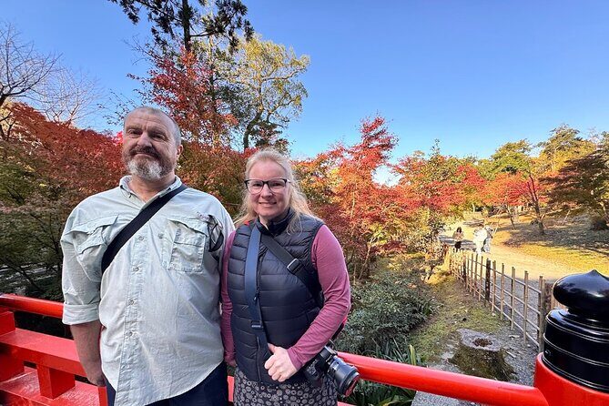 Kyoto Private Tour: One Day Highlights and Cultural Gems - Getting Your Bearings in Kyoto: Pickup, Public Transit, and a Real 7-Hour Plan