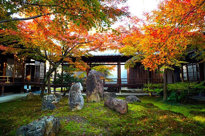 Kyoto Private Tour: One Day Highlights and Cultural Gems - Fushimi Inari-Taisha and the Thousand Torii Walk: Photos Are Great, But Pace Matters More