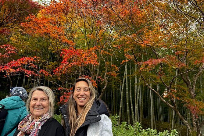 Kyoto Private Tour: One Day Highlights and Cultural Gems - Who This Tour Fits Best (and Who Should Consider Another Plan)