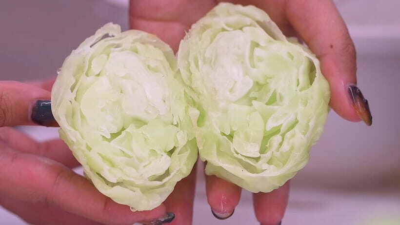 Kyoto: Replica food making experience - Optional Lettuce Replica: A Nice Change of Pace