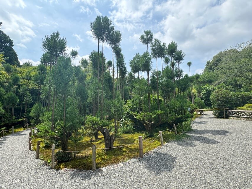 Kyoto: Ryōan-ji, Greatest Zen Garden Guided Tour in 90 Min. - A few practical moments that can make or break your visit