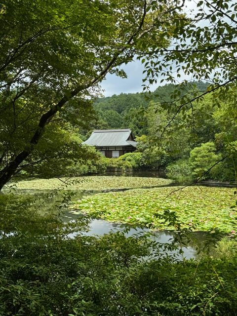 Kyoto: Ryōan-ji, Greatest Zen Garden Guided Tour in 90 Min. - Meeting at 龍安寺山門 and settling into the right pace