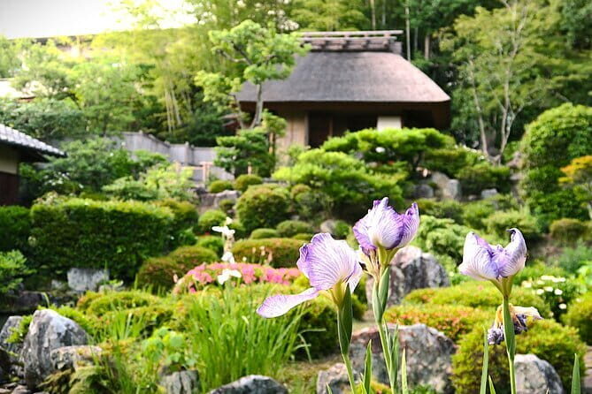 Kyoto Shogun Cycling Tour - Kyoto’s Shogun Sites by Bike: What the Ride Feels Like