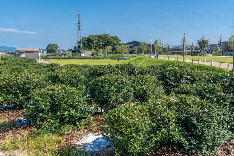 Kyoto: Tea Museum Tickets and Matcha Grinding Experience - From powder to cup: whisking and brewing with an instructor
