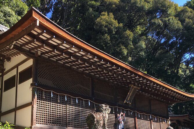 Kyoto tea town for matcha lovers - The Traditional Tea Ceremony: What You’re Really Learning