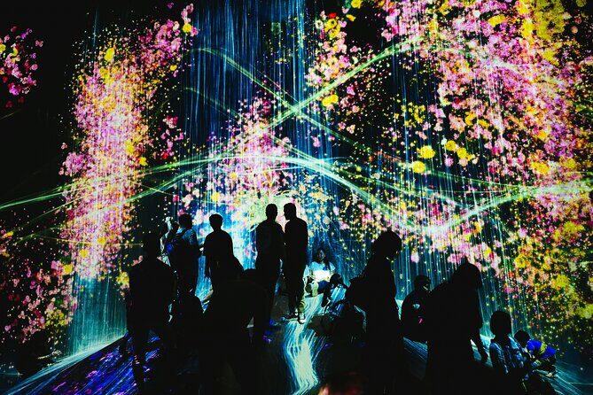 Kyoto TeamLab Biovortex & Kyoto Walking Tour - Key things to know before you go