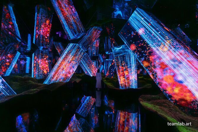 Kyoto TeamLab Biovortex & Kyoto Walking Tour - Price and logistics: what you get for $72