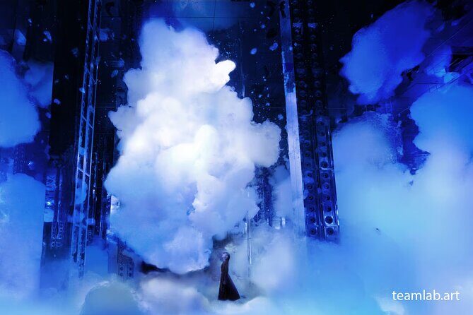 Kyoto TeamLab Biovortex & Kyoto Walking Tour - Timing: why the order works (and what to watch for)