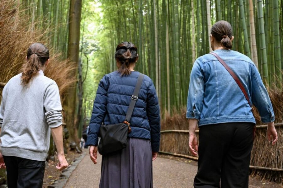 Kyoto to Arashiyama Day Trip - Private & Personalized - Key Things That Make This Arashiyama Tour Work