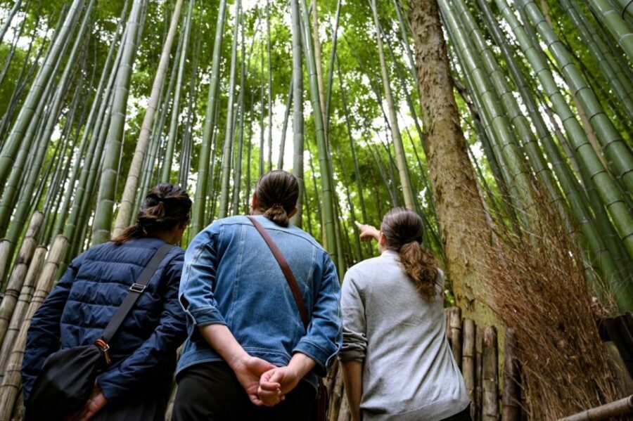 Kyoto to Arashiyama Day Trip - Private & Personalized - Hozu-gawa Rowing Boat: The Moment the Day Gets Calm