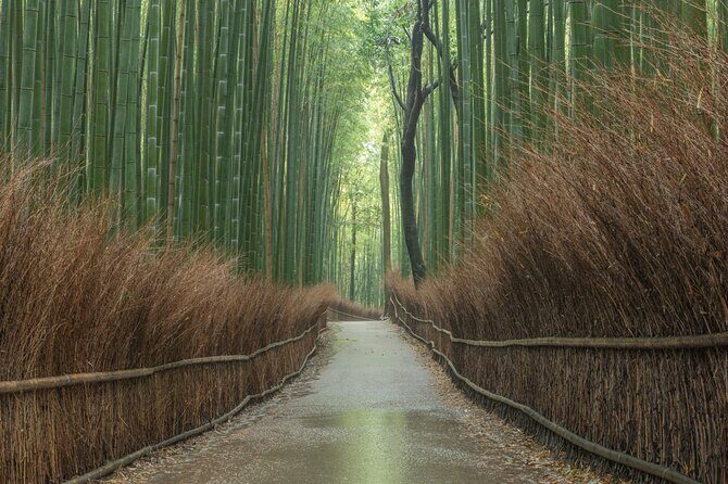 Kyoto top must-see Golden pavilion and Bamboo forest half-day Private tour - Kinkakuji: Golden Pavilion and the Power Story Behind It