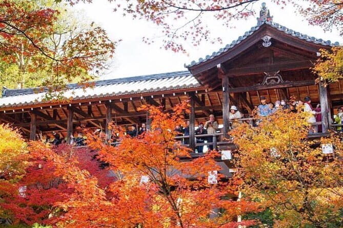 Kyoto tour 12 hours Private Nagoya pick up available - Why This Private Kyoto Day Feels More Relaxed Than the Usual Route