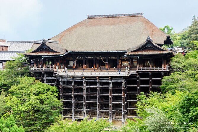 Kyoto tour with English Speaking Chauffeur - The Driver Factor: When It’s Great, It Feels Effortless