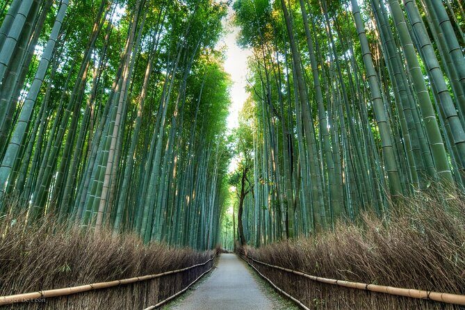 Kyoto tour with English Speaking Chauffeur - Tickets and Costs: What to Budget Beyond the $500