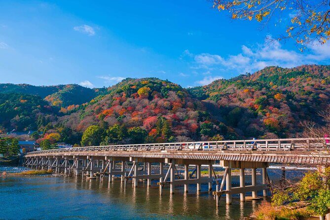 Kyoto tour with English Speaking Chauffeur - Should You Book This Private Kyoto Tour?
