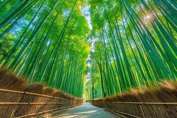 Kyoto & Uji: Full Day Sightseeing Tour from Osaka or Kyoto - Uji River: a calmer pause after Kyoto crowds