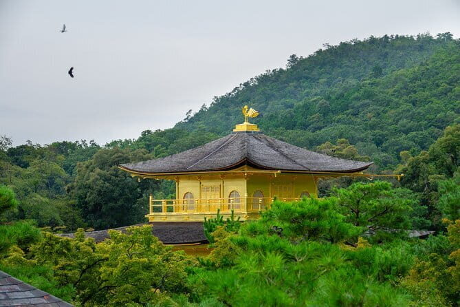 Kyoto & Uji: Full Day Sightseeing Tour from Osaka or Kyoto - Starting with Kinkaku-ji: the Golden Pavilion payoff