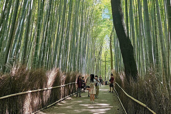 Kyoto's Arashiyama Bamboo Grove: 3-Hour Guided Tour - Key highlights worth your attention